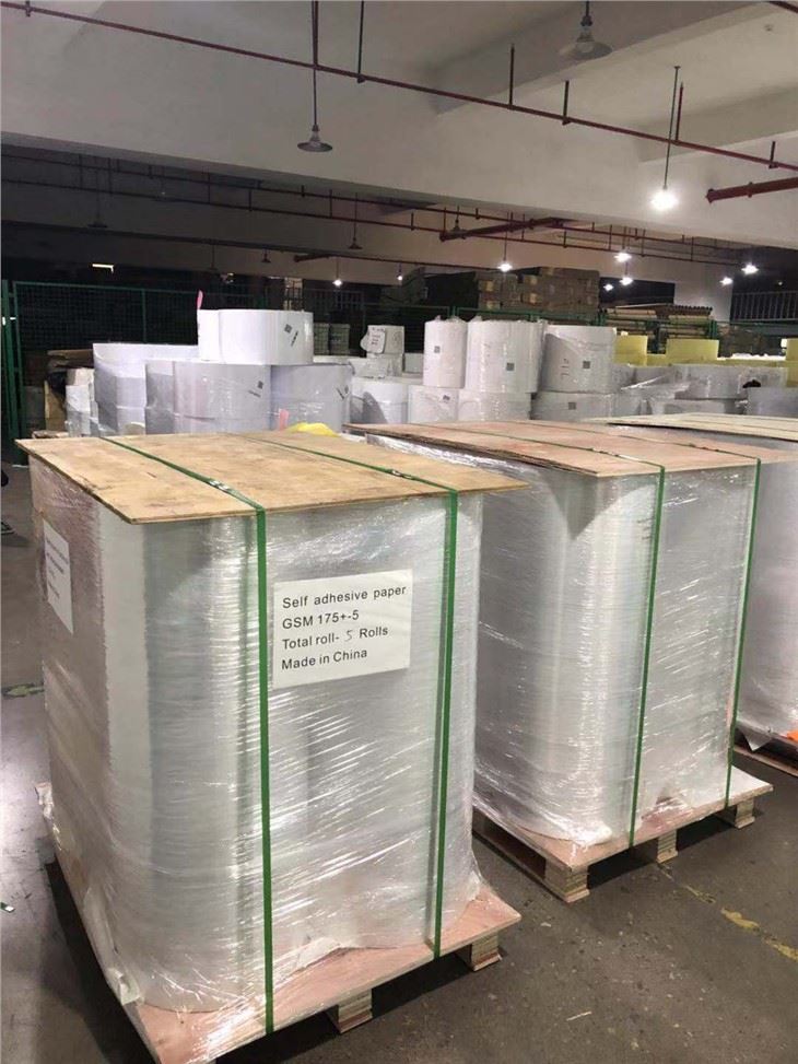 Етикетка Jumbo Roll Economic Direct Thermal Paper